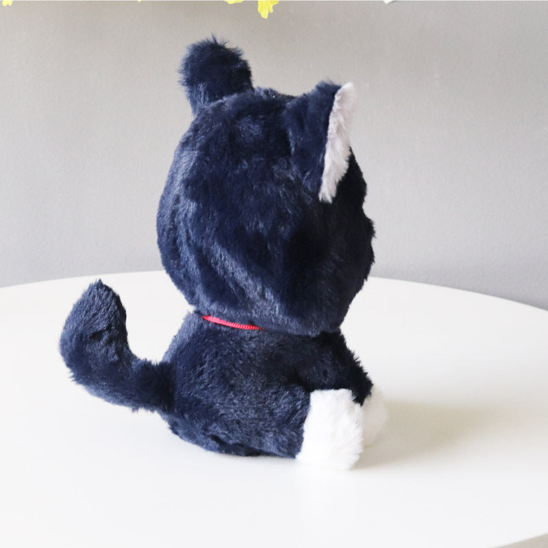 Cats Plush Dolls Dolls Cute Colleagues Around Cos Factory Baby Cotton Dolls